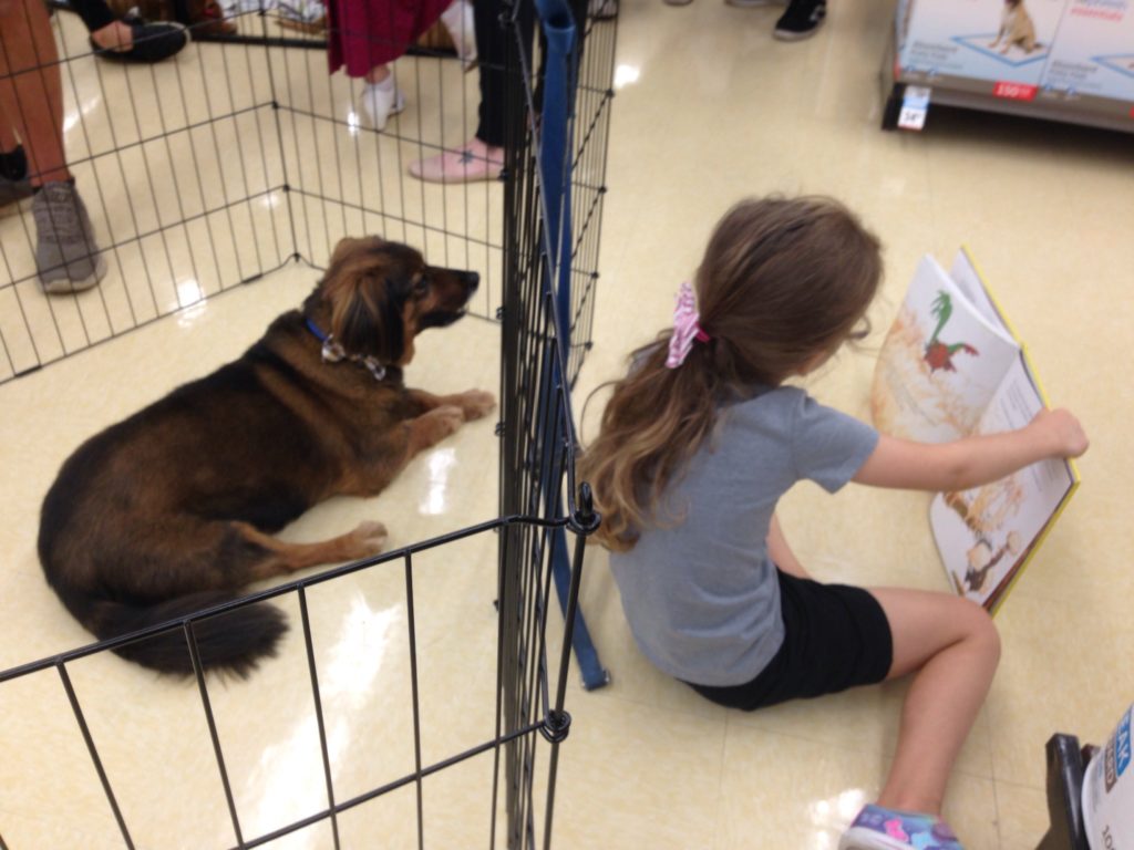 Reading To A Dog At Petco 2