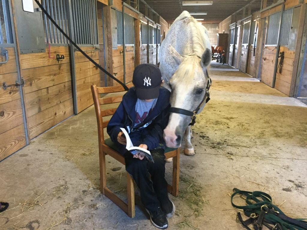 Reading To A Horse Named Pepper 12