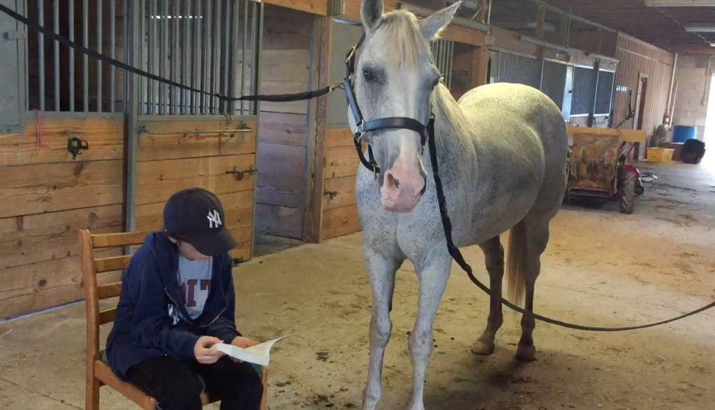 Reading To Horse Named Pepper 2